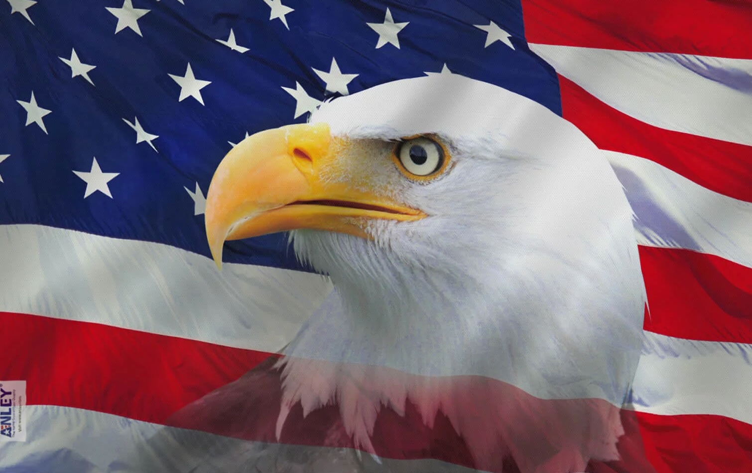 Bald-Eagle-Flag.jpg
